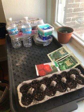 Supplies for growing plants at home