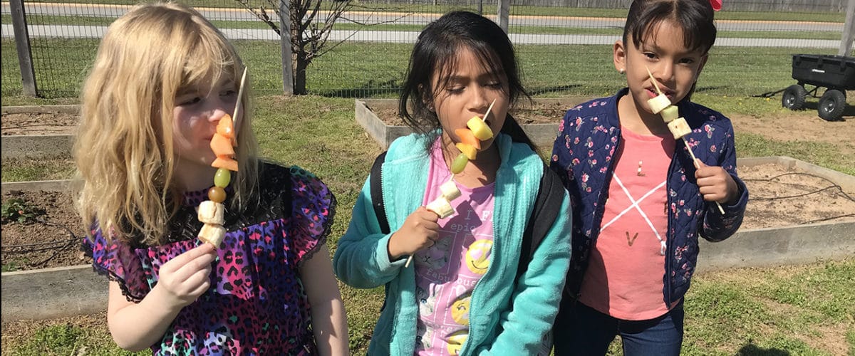 kids eating fruit kabobs