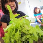 Small girl holds large lettuce - Arizona Star School