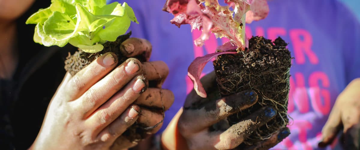 Two girls hold plant sprouts