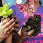 Two girls hold plant sprouts