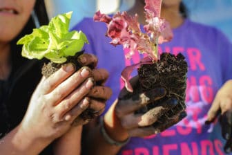 Two girls hold plant sprouts