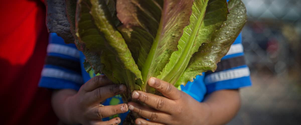 A child holding a bunch of greens in front of their face