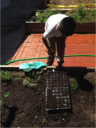 A student planting butternut squash and lettuce seeds that will be transplanted into the newly built garden before the end of the school year!