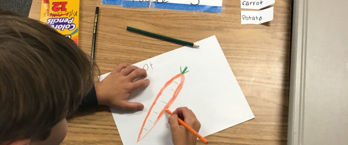 A student colors in a carrot at his desk in Gloucester, MA