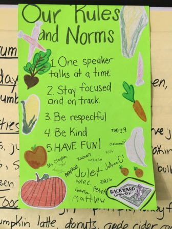 Class Rules and Norms Poster