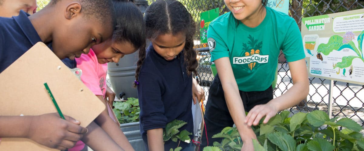 FoodCorps service member works with students in the garden