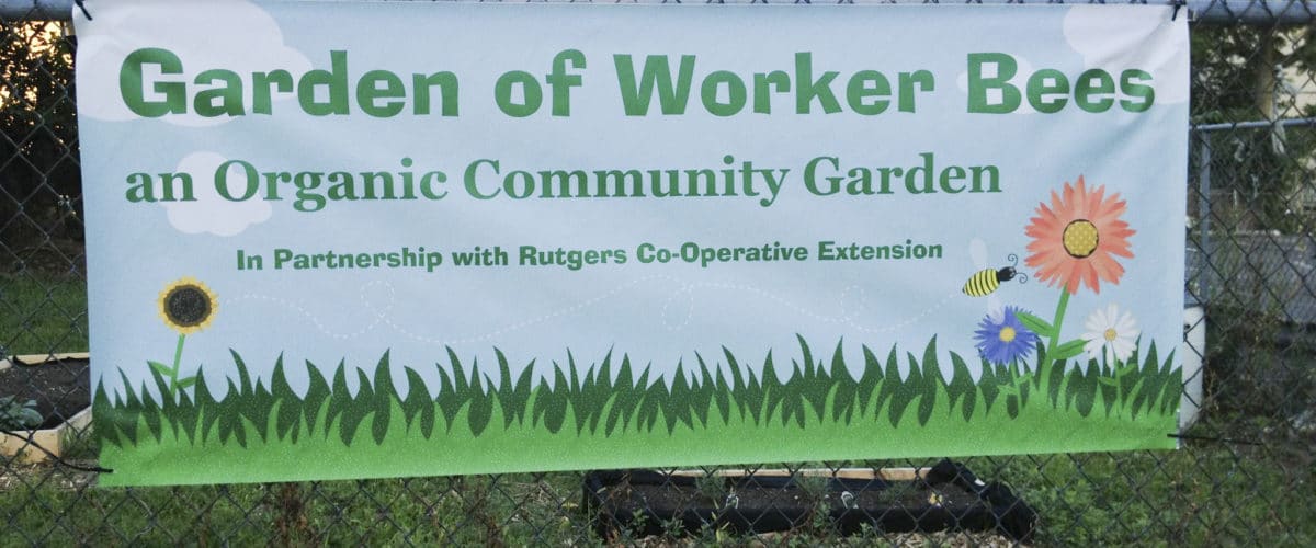 Garden of Worker Bees