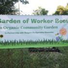 Garden of Worker Bees