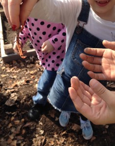 Students at Maple Street School in Vernon love worms for helping their garden grow!