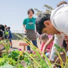 foodcorps service member teaching a hands-on lesson in the garden