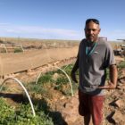 Tyrone Thompson examines his garden at his Ch'ishie Farms in Leupp