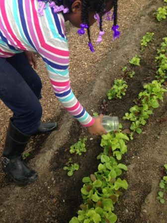 One of Brooke's students waters plants using a mason jar